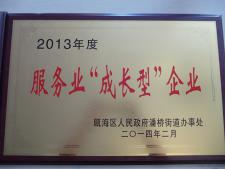 公司奖状29